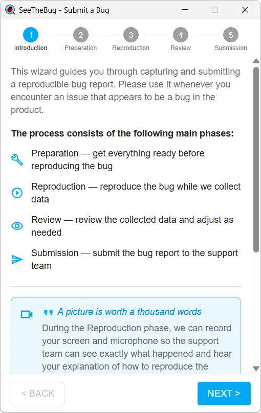 The SeeTheBug client explaining the four phases of a capture to the person about to report the bug